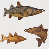 Super Kit - Robalo