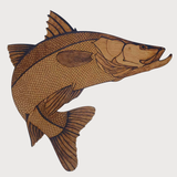 Super Kit - Robalo