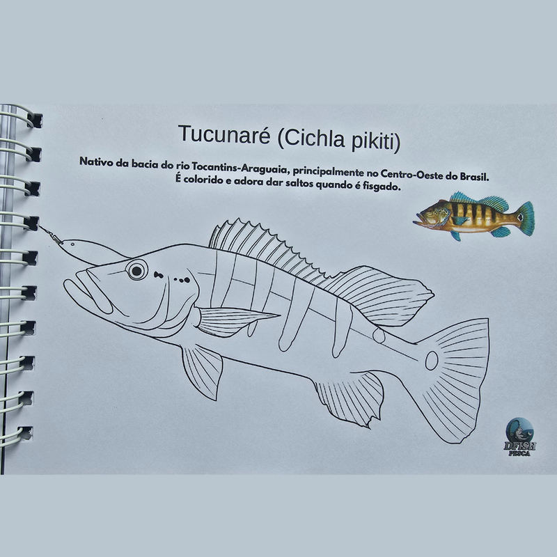 Dfish Goodies Capa dura A5