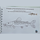 Dfish Goodies Capa dura A5