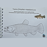 Dfish Goodies Capa dura A5