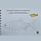 Dfish Goodies Capa dura A5