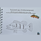 Dfish Goodies Capa dura A5