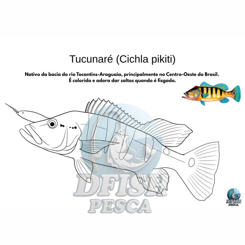 DFISH GOODIES – Caderno de Peixes Brasileiros para Colorir (PDF Digital)