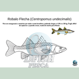 DFISH GOODIES – Caderno do Mar para Colorir (PDF Digital)