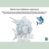 DFISH GOODIES – Caderno do Mar para Colorir (PDF Digital)