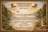 COLEÇÃO COMPLETA – 6 Cadernos para Colorir A4 Encadernados (Peixes + Pássaros + Mar + Amazônia + Versão2)
