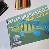 Dfish Goodies Encadernado A4