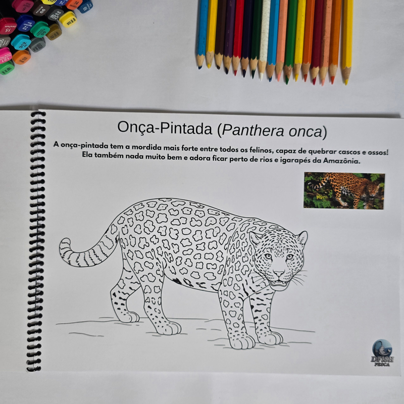 ANIMAIS DA AMAZÔNIA PARA COLORIR – EDIÇÃO ESPECIAL CAPA DURA