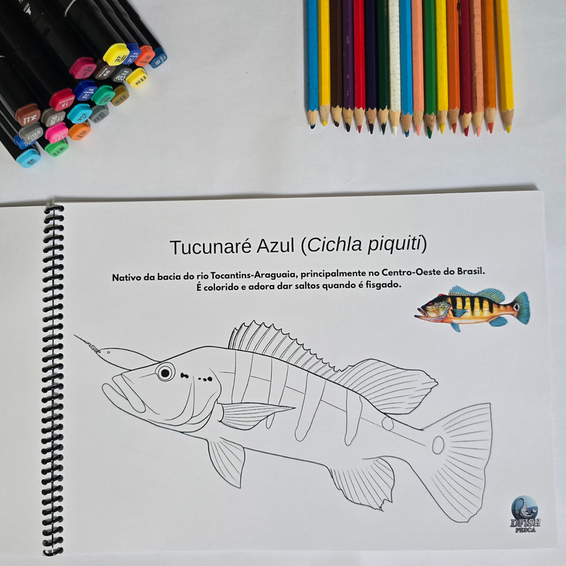 Peixes Brasileiros A4 - Capa dura