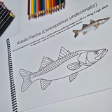 Dfish Goodies Peixes do Mar - Encadernado