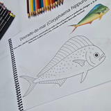 Dfish Goodies Peixes do Mar - Encadernado