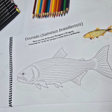 Dfish Goodies Encadernado A4