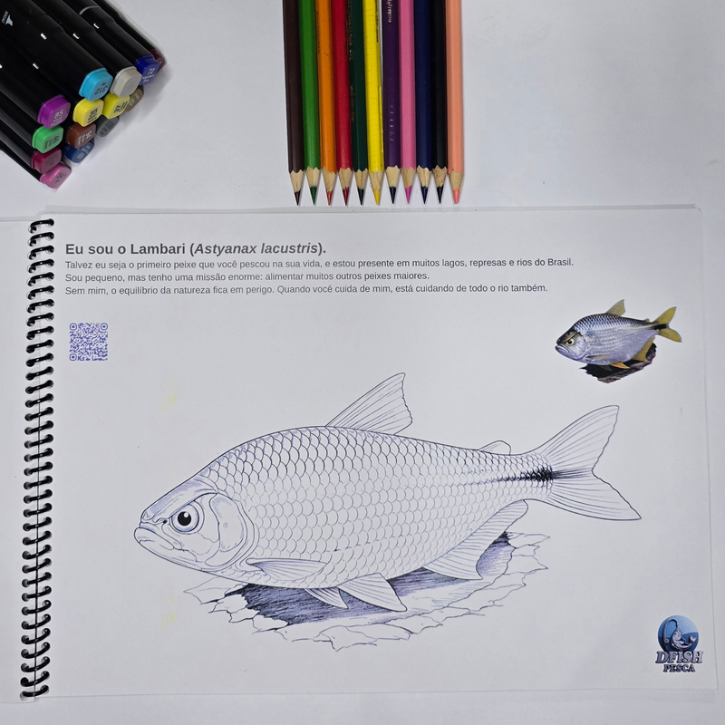 Peixes Brasileiros para Colorir - Versão 2