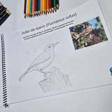 Pássaros Brasileiros para Colorir – Edição Educativa DFISH GOODIES