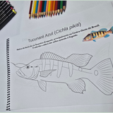 Dfish Goodies Encadernado A4