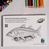 PEIXES DO MAR VERSÃO 2 - COM QR CODE