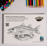 PEIXES DO MAR VERSÃO 2 - COM QR CODE